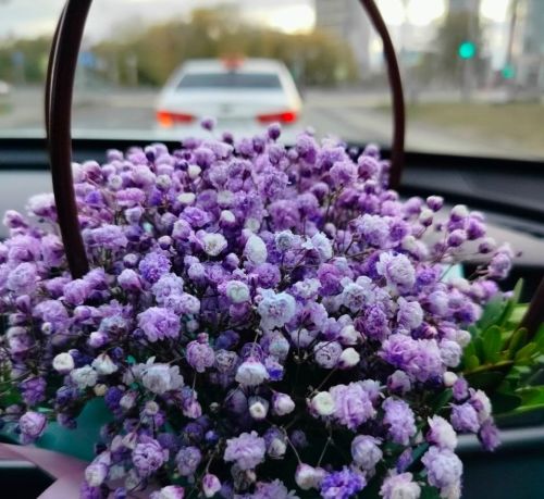 Эрнелӗх  гороскоп