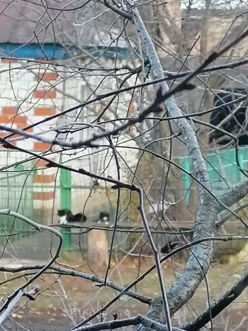 халăх календарӗ