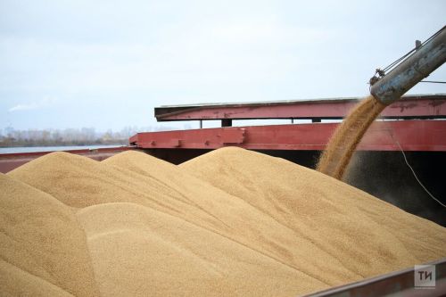 Ешӗлвар районӗнче çӗнӗ элеватор строительствине пуçланă