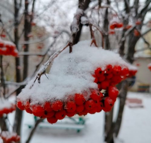 Эрнелӗх гороскоп