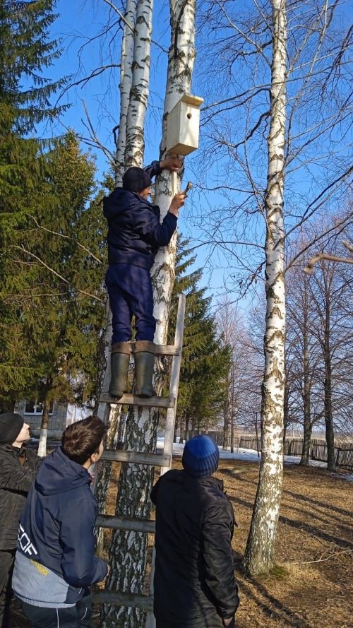 Аксу районӗнчи Емелькино шкулӗнче вӗренекенсем кашни çул вăрман хуçалăхне пулăшаççӗ – шăнкăрч йăвисем туса параççӗ
