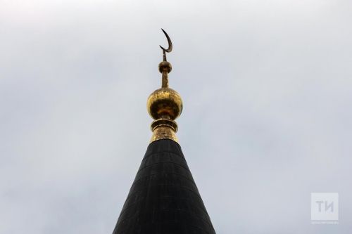 Ку эрнере республикăра хушма канмалли кун пулать