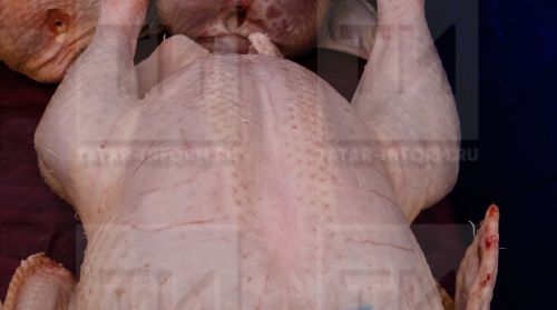 ЧĂХ АШӖПЕ КОРЕЙЛА КИШӖР САЛАЧӖ