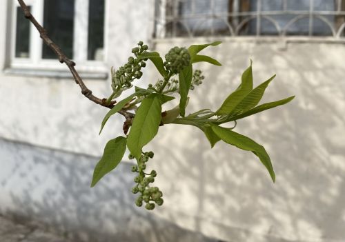 Укçа-тенкӗпе çак кунсенче уйрăмах асăрхануллă пулăр