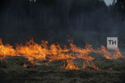 Ҫунакан курӑкӑн вӑйлӑ тӗтӗмне пула Тутарстанри трасса ҫинче массӑллӑ авари пулнӑ