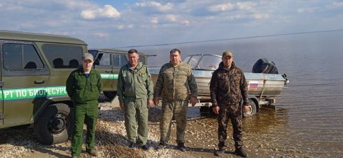 Рейда тухнă инспекторсем 6 протокол çырнă