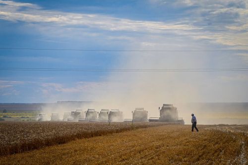 Тутанстанӑн мӗн пур 43 районӗ вырмана пуҫӑннӑ