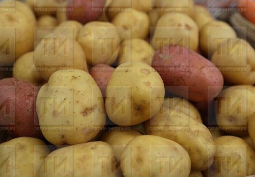 БАНАН ӲСТЕРЕКЕНСЕМ ÇӖРУЛМИ ТУСА ИЛӖÇ