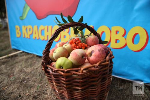 Красновидово Панулми Сăпасне йыхравлать