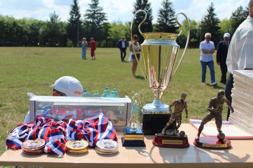Кун пек хӗрӳ пысăк чемпионатра та пулмасть
