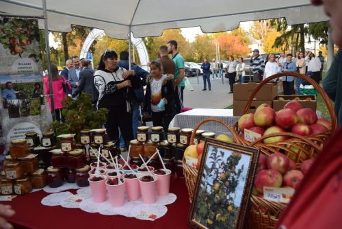 КУН ПЕК КОНЦЕРТ ТАХÇАНТАНПА КУРМАНЧЧӖ