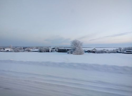 Эрнелĕх гороскоп