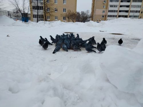 Халăх календарĕ