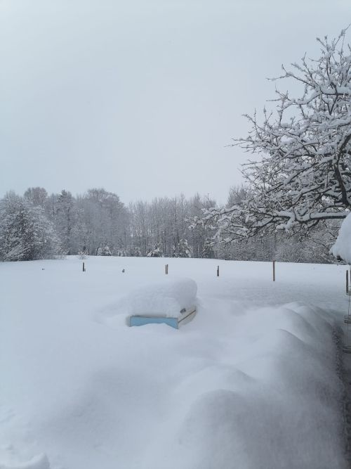 Эрнелӗх гороскоп