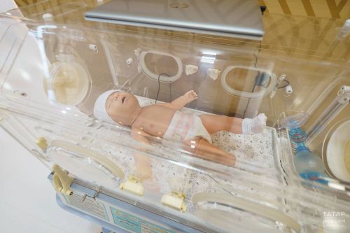 Ăслă палата, шăмă 3D-пичечӗ…