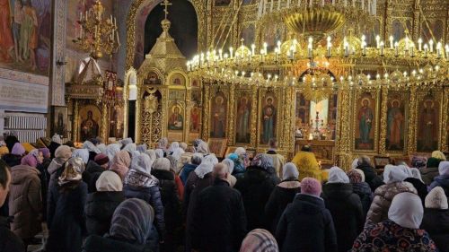«Шурă тутăрсем» акци