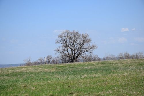 Туризм вăл — бизнес