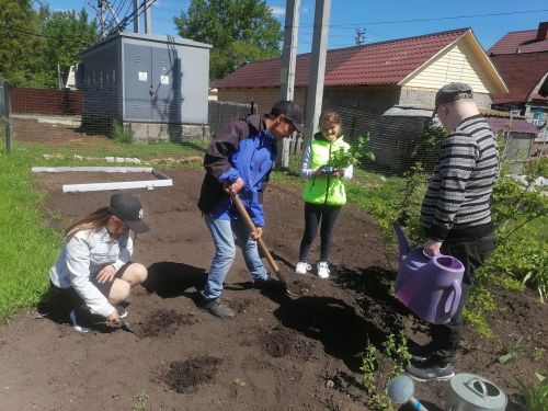 «Пӗр тан майсен çуртӗнче» ачасене пахча çимӗç лартса ӳстерме вӗрентетпӗр