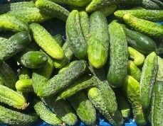 «ÇЕМЬЕ ВУЧАХӖ»  салата хĕлле валли хатĕрле