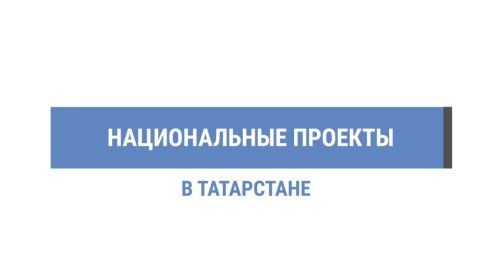 Благодаря нацпроекту в 2024 году к интернету подключат 87 населенных пунктов Татарстана