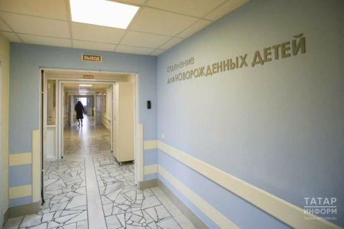 Ҫӗнӗ ҫулхи каҫра Тутарстанра 66 ача ҫуралнӑ