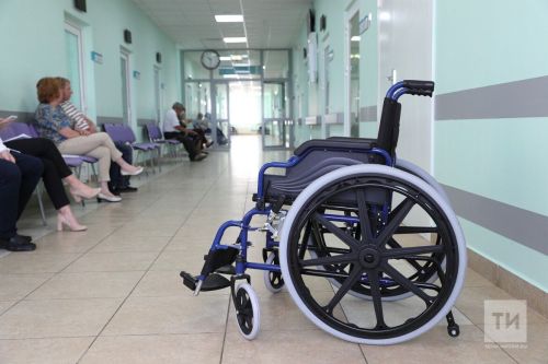 Выртса тăракансене пăхма вӗрентеççӗ