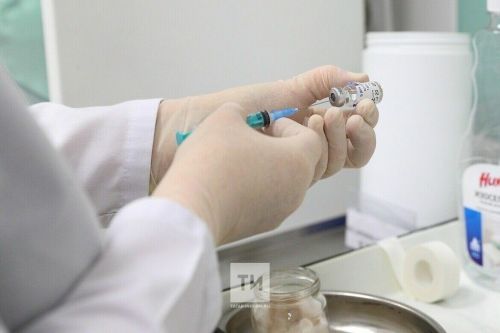 Чирлекенсен шучӗ ӳсет