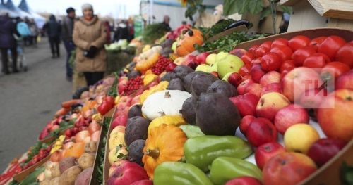 Ял хуçалăх ярмарккисем декабрӗн 28-мӗшӗччен пулаççӗ
