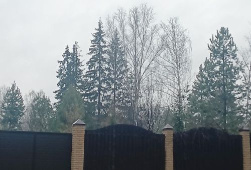 Декабрӗн 15-мӗшӗнчен Тутарстанра «Чăрăш» операци пуçланать