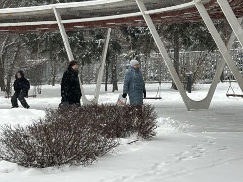 Йӗкӗрешсем – хăвăр тӳр кăмăллă пулсан пайта илетӗр