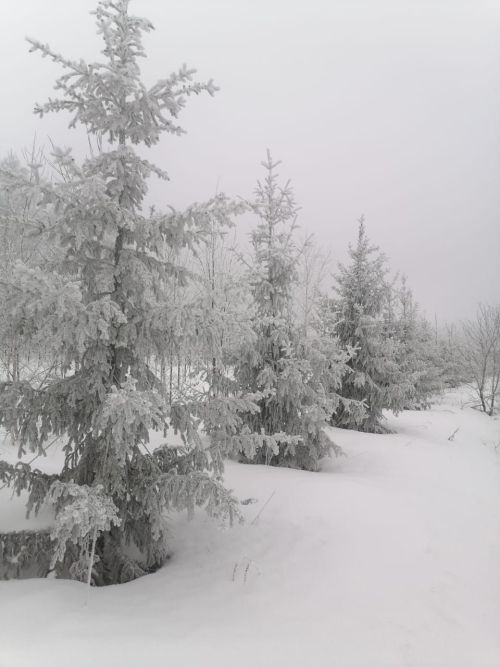 Халăх календарӗ