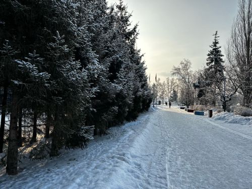 Эрнелӗх гороскоп
