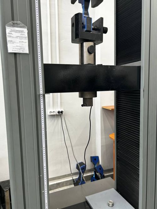 Хусан пăрăхӗсене Раççей хулисенче кӗтеççӗ