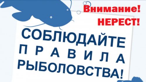 Тутарстанра пулă тытма чарнă
