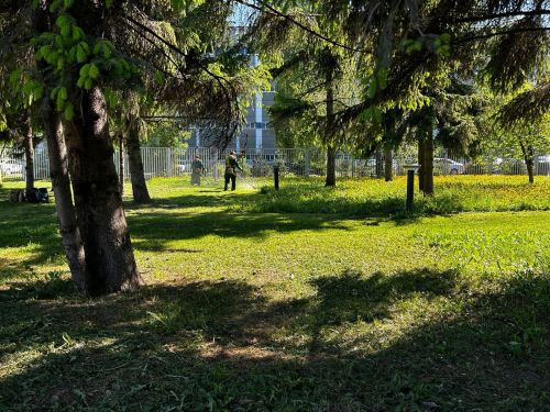 Çак кун çумăр çусан уйăх вӗçленичченех йӗпе-сапа пулать