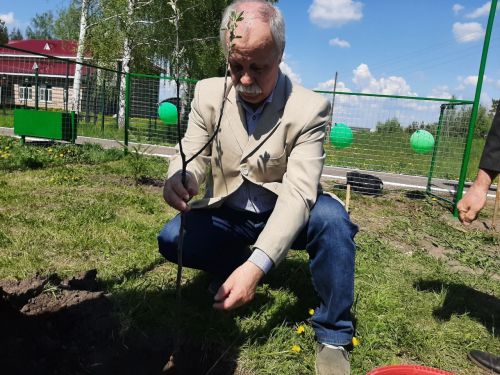 Чăваш Енри Пайкилт ялӗнче Константин Иванова асăнса йывăç лартрӗç