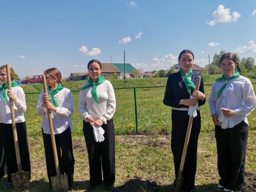 Чăваш Енри Пайкилт ялӗнче Константин Иванова асăнса йывăç лартрӗç