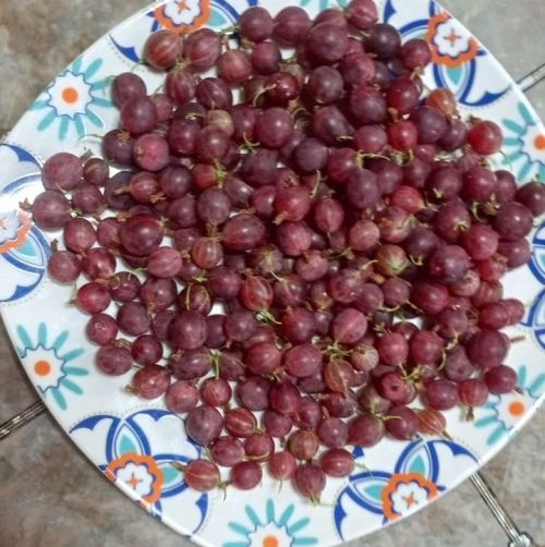 Йӗплӗ хурлăханпа   апельсин варенийӗ