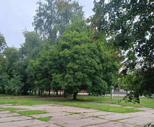 Хуласенчи обществăлла вырăнсене лайăхлатас енӗпе конкурсăн çӗнтеӳçисем паллă