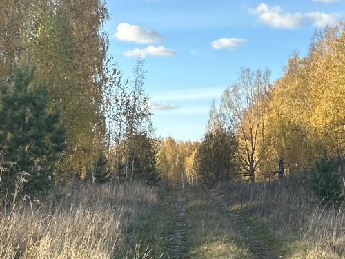 Тутарстанра 24 градус таран ӑшӑтать