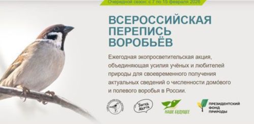 Сирӗн ялта миçе çерçи? Февралӗн 15-мӗшӗччен шутламалла