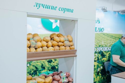 Шупашкарта «Çӗрулми-2026» регионсен хушшинчи курав пулать