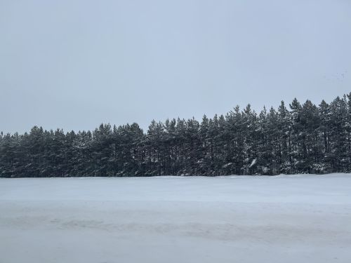 Паян юр çусан çулла çумăрлă пулать