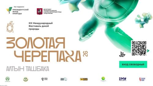 Фестиваль «ЗОЛОТАЯ ЧЕРЕПАХА»