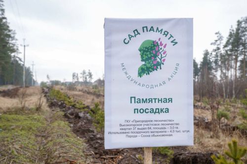 «Астăвăм сачӗ» акци. Тутарстан кăçал 1 миллион тӗп ытла йывăç лартма хатӗрленет