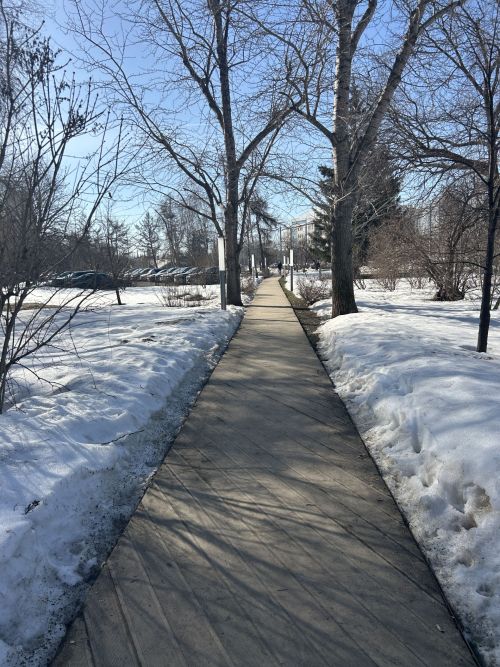 Ама хупаххи чечекре – ака уйăхӗнче ăшă пулать