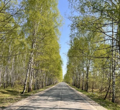 Пилеш ир чечеке ларсан – сӗлӗ тухăçлă пулать