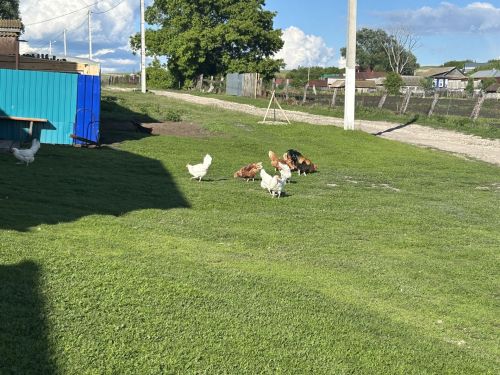 Инçетри тăвансенчен кӗтмен хыпар илни çуллахи  плансене улăштарать