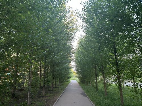 Ку эрнере кулленхи ӗçсене урăхларах йӗркелеме тивет.