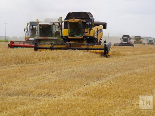 Республикăра вырма пуçланчӗ